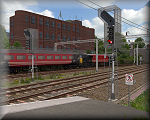 Inset image